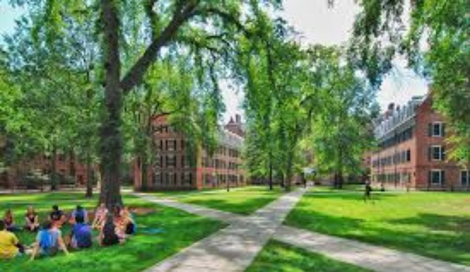 open curriculum colleges